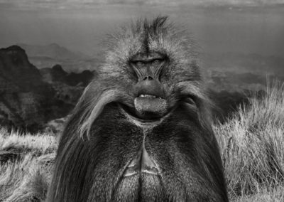 David Yarrow – Go ahead punk! (27.06-09.07 2018)