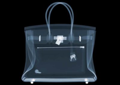 Nick Veasey - Hermes Birkin Bag